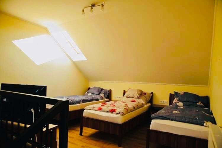 Viktor Vendeghaz Es Apartmanhaz Baktaloranthaza エクステリア 写真